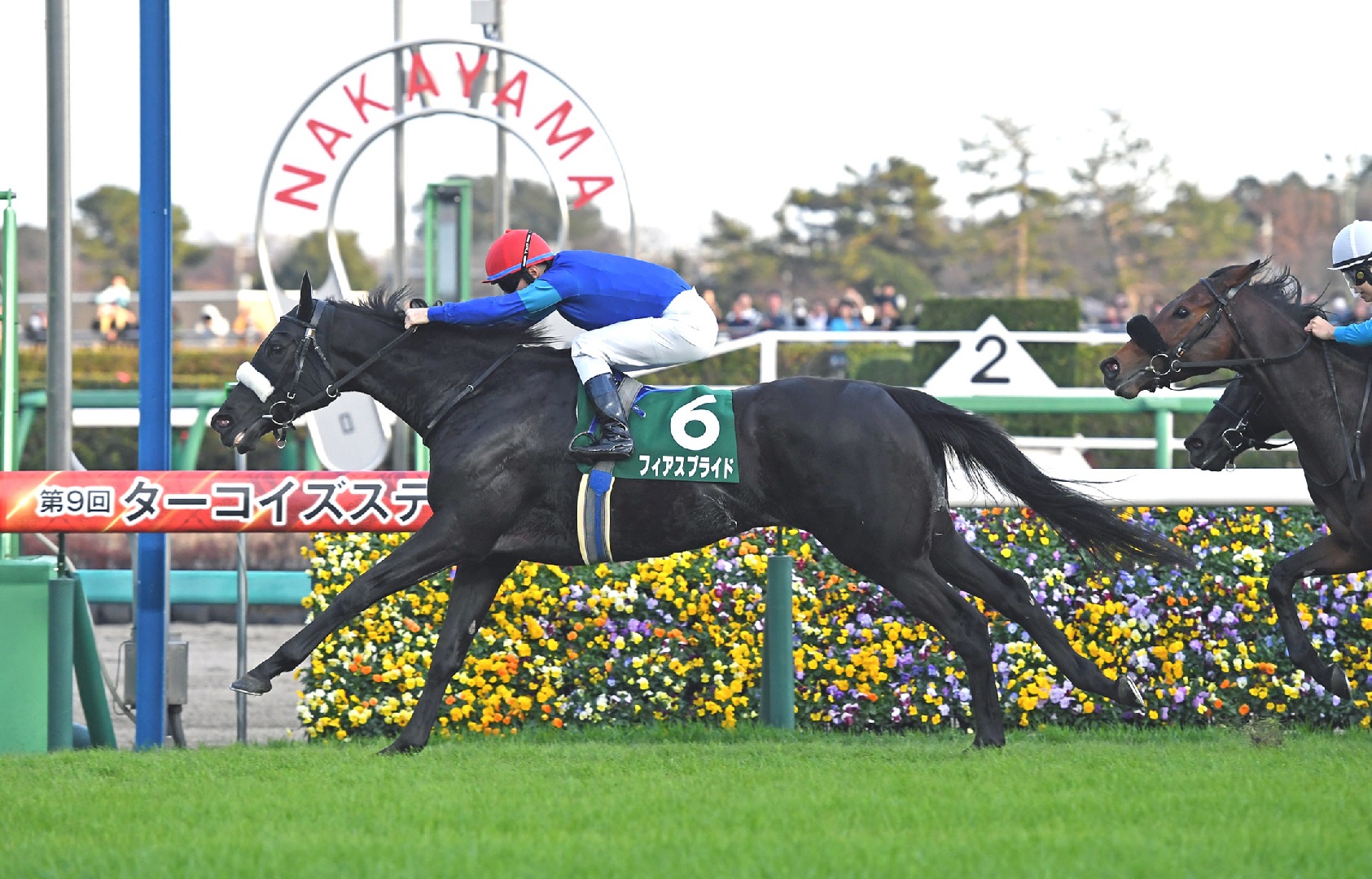 Derby Tsuku: Derby Uma o Tsukurou!