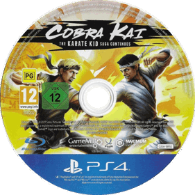 Cobra Kai: The Karate Kid Saga Continues - Disc