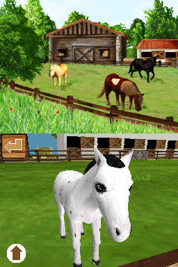 Discovery Kids: Pony Paradise
