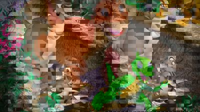 The Land Before Time: Great Valley Racing Adventure - Fanart - Background