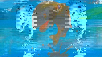 Virtual Fishing - Fanart - Background