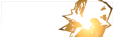 Final Fantasy IX - Banner