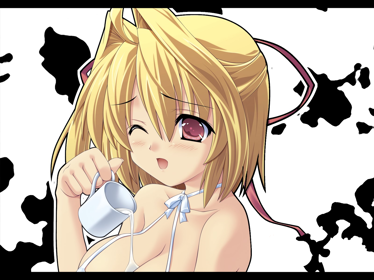 Orange Pocket: Cornet