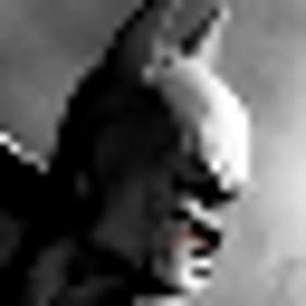 Batman: Arkham City - Icon