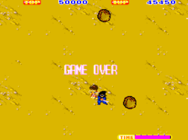 Sega Ninja - Screenshot - Game Over