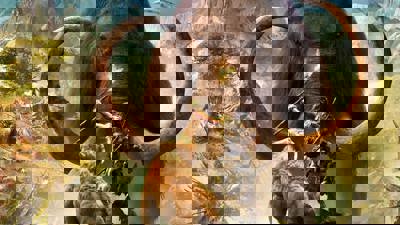 Far Cry Primal - Fanart - Background