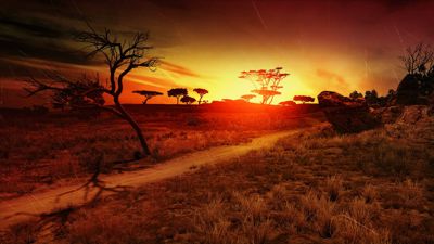 Cabela's Dangerous Hunts 2011 - Fanart - Background