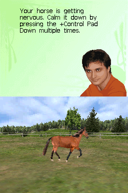 My Horse & Me