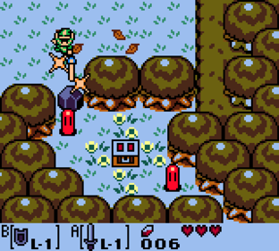 The Legend of Zelda: Link's Awakening DX - Screenshot - Gameplay Image