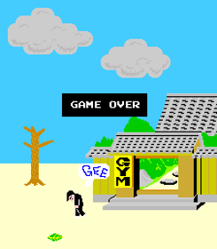 Karate Champ - Screenshot - Game Over