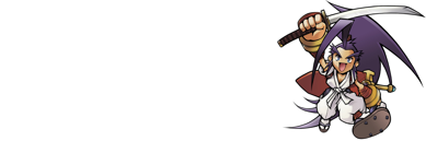 Brave Fencer Musashi - Banner