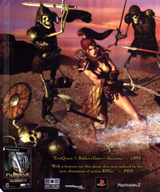 Champions of Norrath - Advertisement Flyer - Front