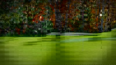 Fox Sports Golf '99 - Fanart - Background