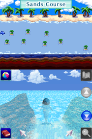 Discovery Kids: Dolphin Discovery