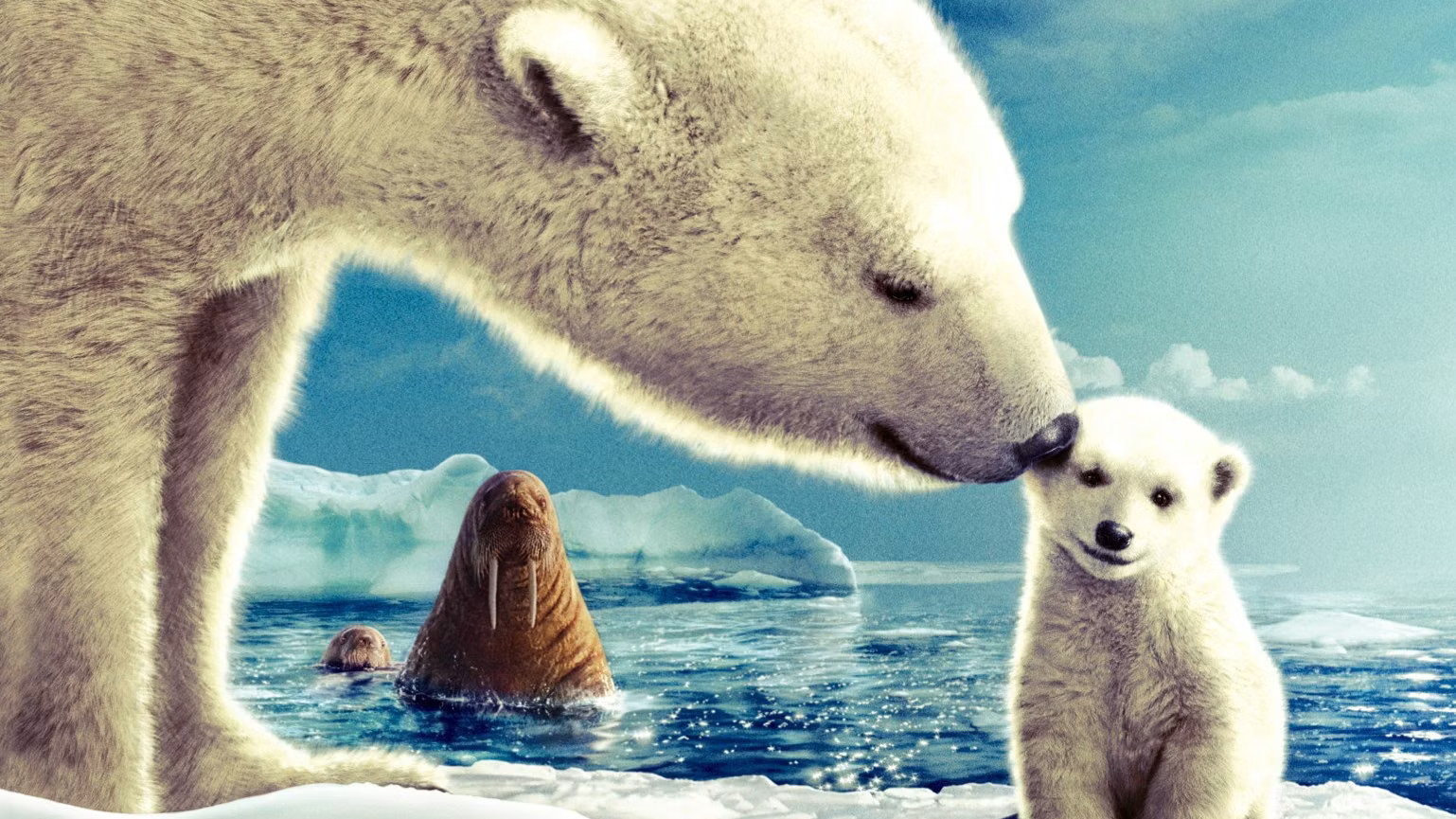 Arctic Tale