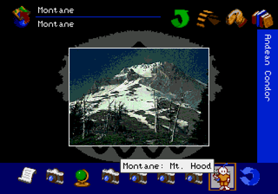 The San Diego Zoo Presents... The Animals! A True Multimedia Experience - Screenshot - Gameplay Image