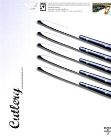 Black & White 2 - Advertisement Flyer - Front