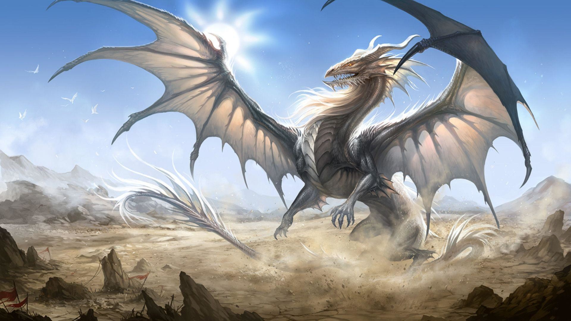 Dragon's Dream