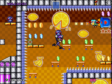 Mushroom Kingdom Fusion - Screenshot - Gameplay