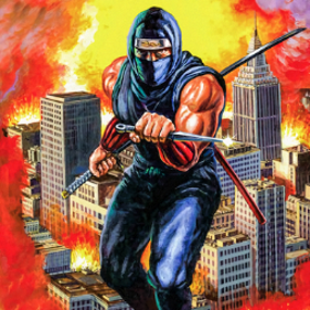 Ninja Gaiden - Icon