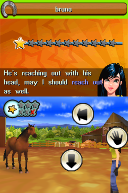 Petz: Horsez Family