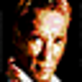 True Lies - Icon