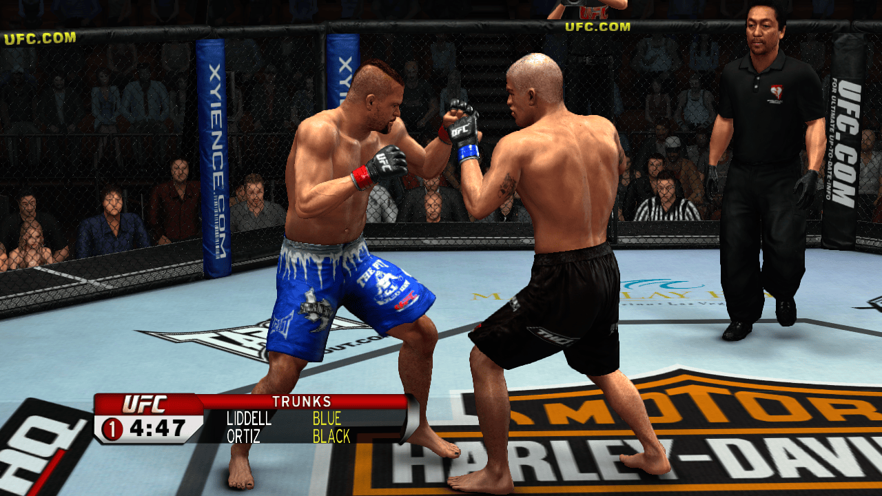UFC 2009 Undisputed