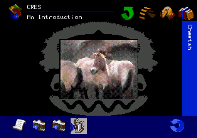 The San Diego Zoo Presents... The Animals! A True Multimedia Experience - Screenshot - Gameplay Image