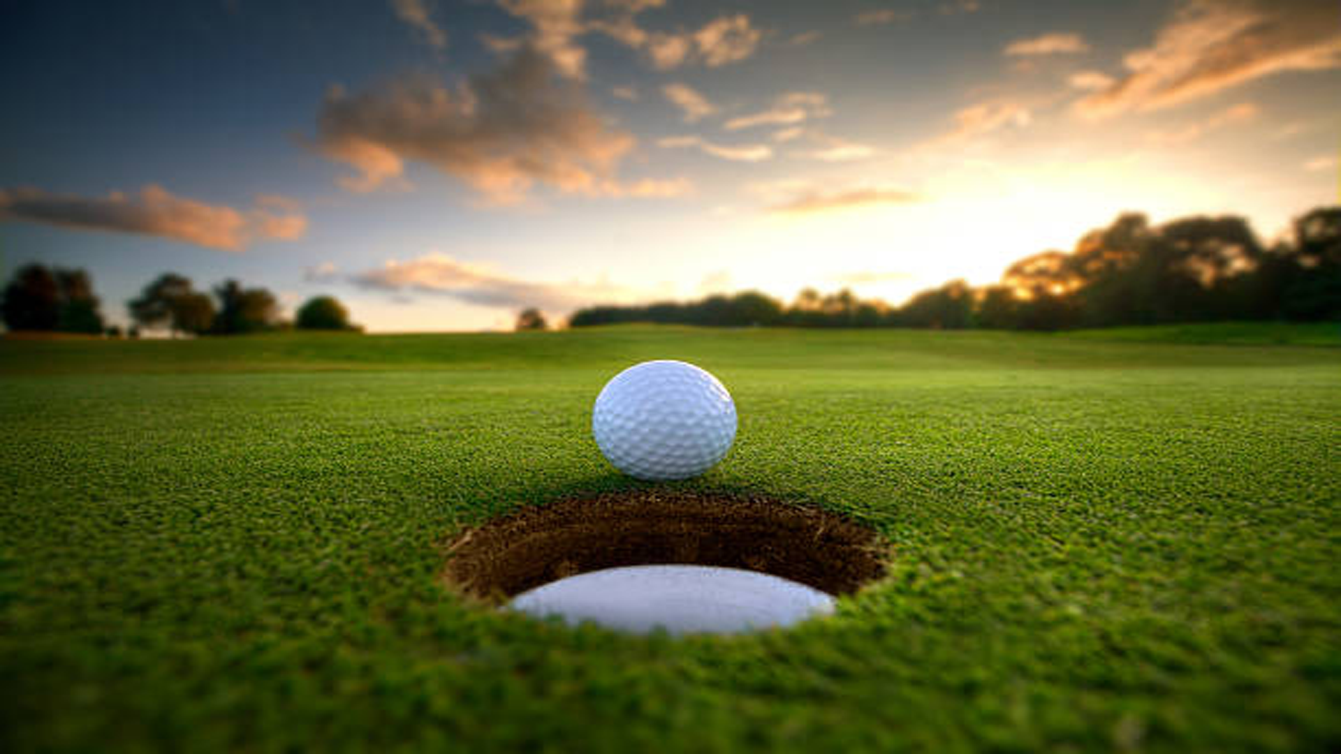 Birdie Try