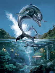 Ecco the Dolphin - Box - Front