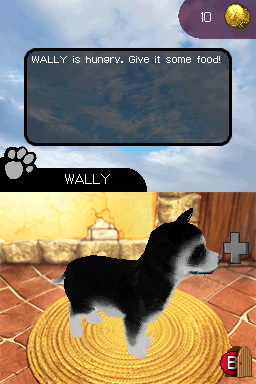 Paws & Claws: Best Friends: Dogs & Cats