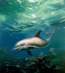 Ecco the Dolphin: Defender of the Future - Poster