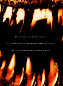 The Lost World: Jurassic Park - Advertisement Flyer - Front