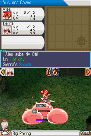 Ragnarok DS - Screenshot - Gameplay