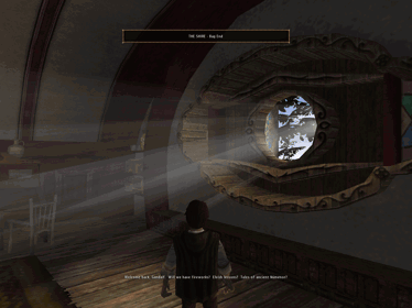 The Lord of the Rings: The Fellowship of the Ring - Screenshot - Gameplay