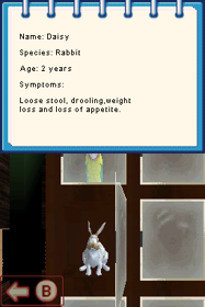 Pet Pals: New Leash on Life - Screenshot - Gameplay