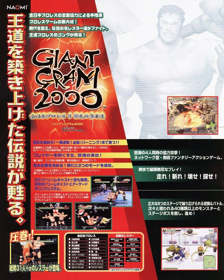 Slashout - Advertisement Flyer - Back