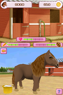Petz Pony Beauty Pageant