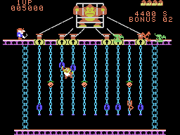 Donkey Kong Jr.