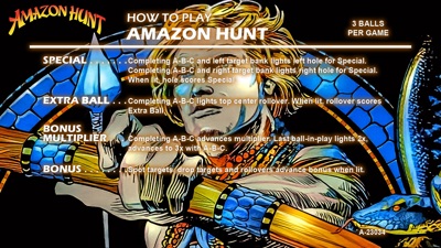 Amazon Hunt - Arcade - Controls Information