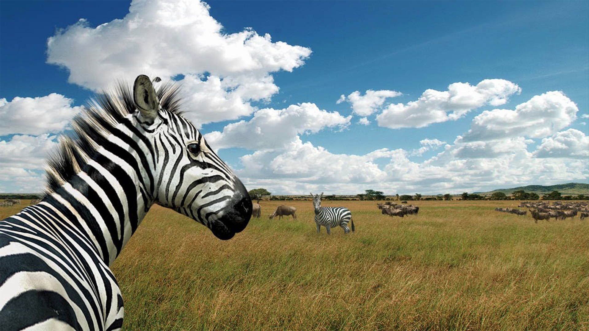Afrika