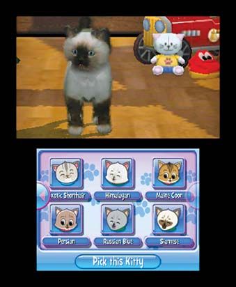 Purr Pals: Purrfection