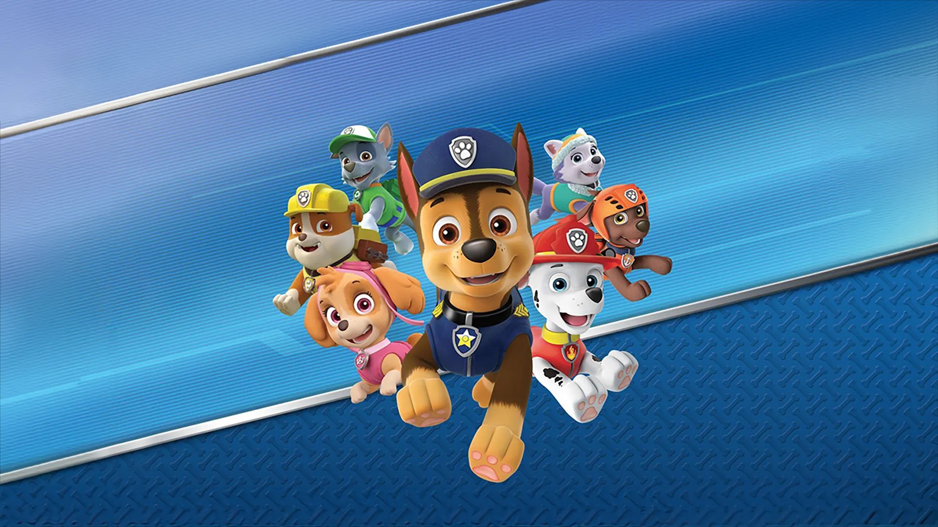 Paw Patrol: On A Roll!