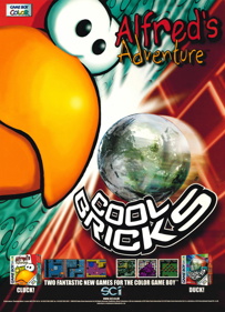 Cool Bricks - Advertisement Flyer - Front