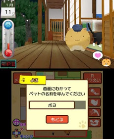 Poyo Poyo Kansatsu Nikki - Screenshot - Gameplay