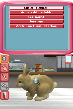 Paws & Claws: Pet Vet 2