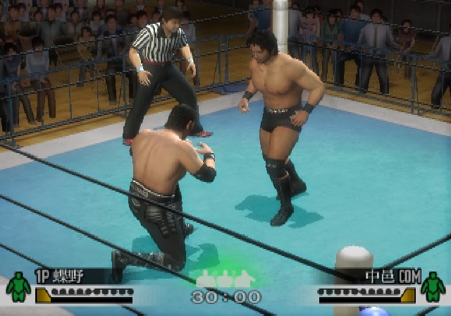 Wrestle Kingdom 2: Pro Wrestling Sekai Taisen