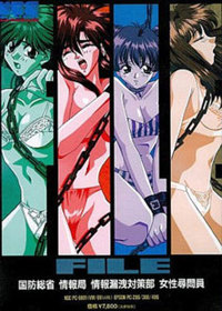 FILE: Kokubousoushou Jouhoubu Jouhourouei Taisakubu Josei Jinmonin