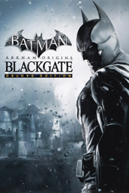 Batman: Arkham Origins: Blackgate Deluxe Edition - Poster