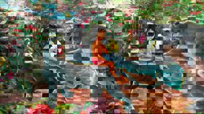 Walt Disney's The Jungle Book